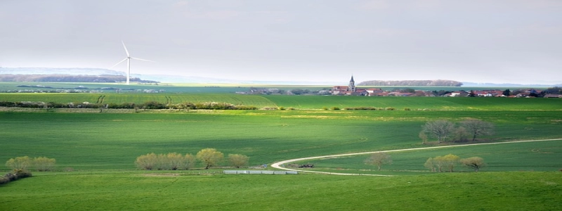 разпръснат къмпинг близо до ridgway co